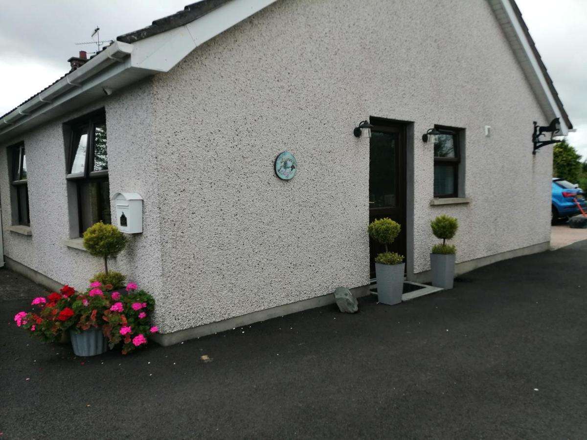 Randalstown Lynn'S Lodge, International Airport 15Mins מראה חיצוני תמונה